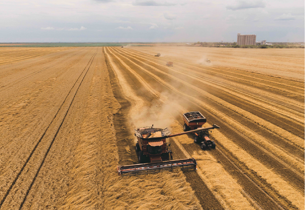 农业智检与精准管理 农业智检与精准管理